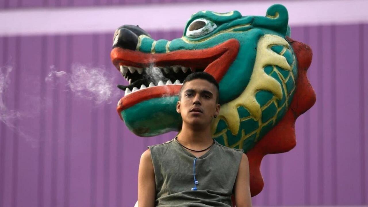 Estéfani Enríquez Soto