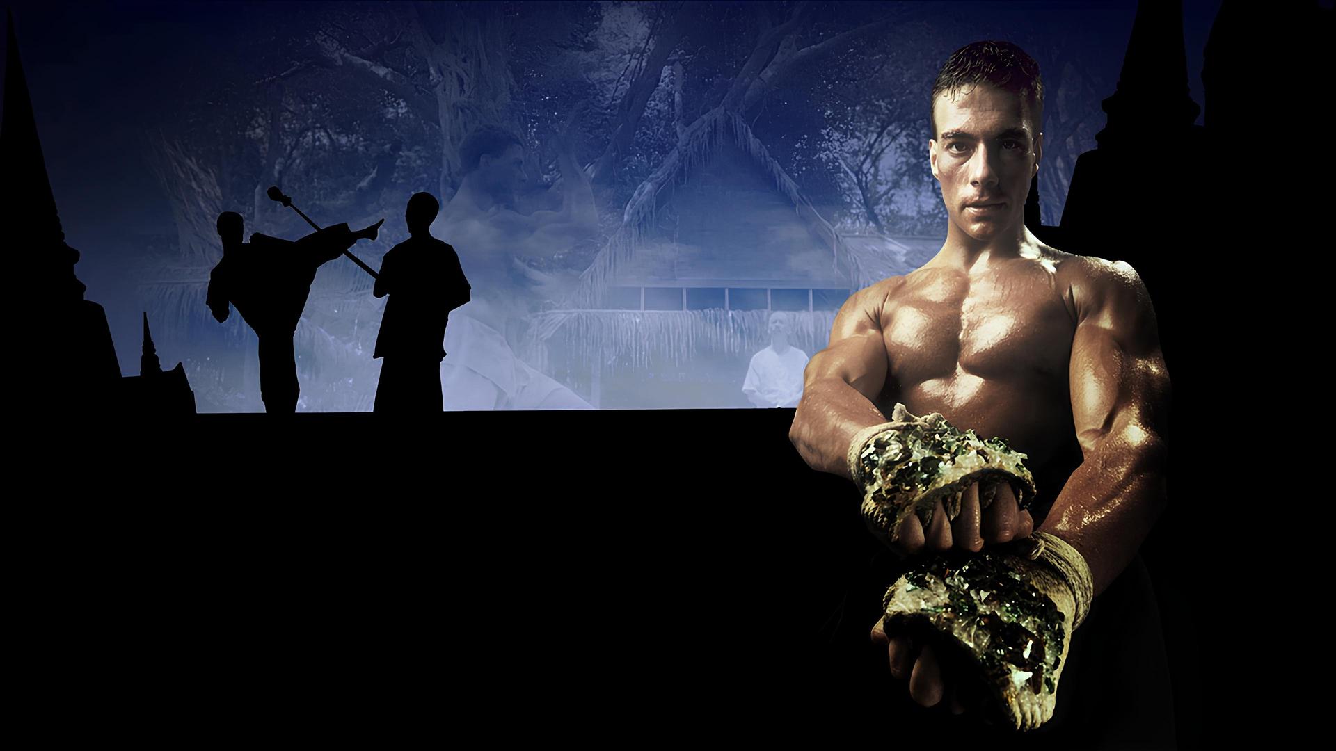 Kickboxer Collection