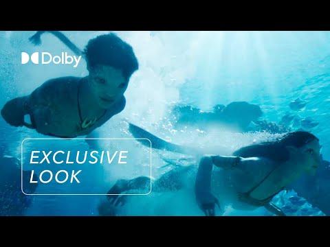 Exclusive Look