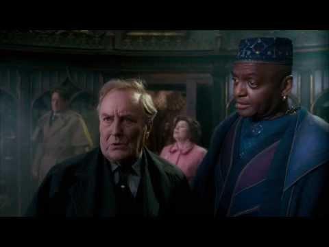 Fawkes rescues Dumbledore