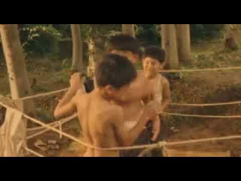 Glory to the Filmmaker! - trailer - IFFR 2008
