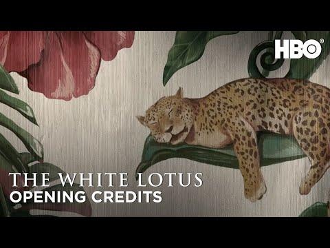 Opening Credits Theme Song