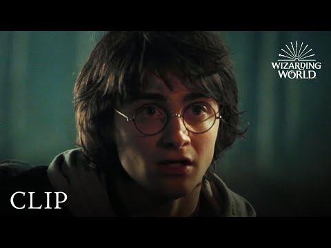 Hagrid Takes Harry to See the Dragons